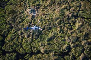Helicopter safari from the sky at Chief's Island