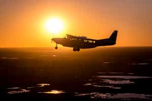 Take a scenic flight from Maun