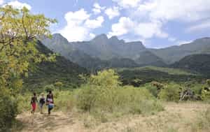 Spot wildlife on a Matthew's Range bush walk