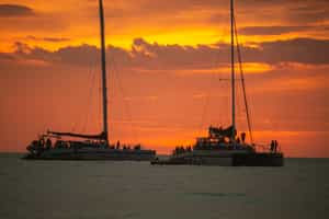 Discover Manuel Antonio's coastline on a catamaran