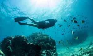 Snorkel the crystalline waters of Guanacaste