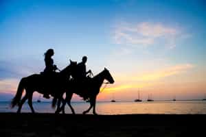 Explore Puerto Viejo de Talamanca on horseback