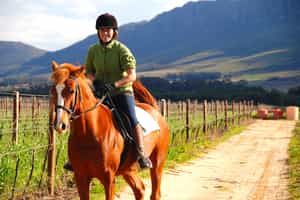 Explore the Stellenbosh vineyards on horseback