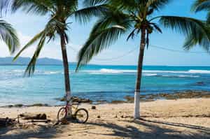 Take a bike ride to Punta Uva beach