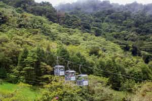 Go on a sky tram across Arenal Volcano's forests