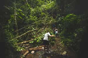 Hike through the rainforest to the waterfalls