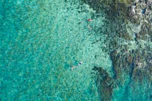 Snorkel the crystal clear waters of Phuket