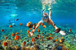Snorkel through Koh Kood's crystal clear waters