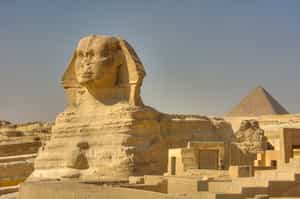 See the Great Sphinx and pyramids of Giza