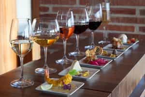Go wine tasting along the south coast of Overberg