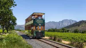 Explore Franschhoek's vineyards by tram