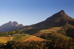 A wine tasting tour of Franschhoek's wine farms