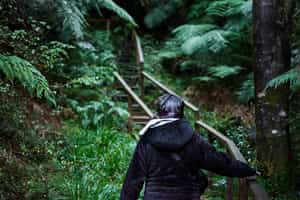 Hike through the Alerce Andino National Park