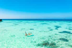 See the marine life from a clear bottomed kayak