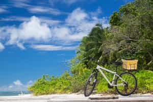 Go on a bike ride on La Digue Island, Seychelles