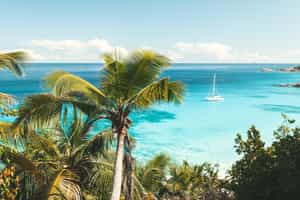 Go sailing to idyllic isles in the Seychelles