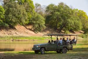 Track the Zakouma's wildlife on a game drive