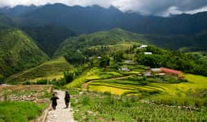 Explore the countryside and local villages of Sapa