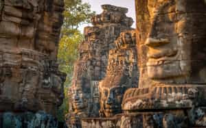See the carved faces of Bayon Temple, Siem Reap