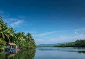 Take a boat trip on the Taitai river in Koh Kong
