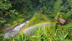 Take a tour of the The Bolaven Plateau, Champasak