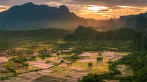 Explore the vast rice fields of Vang Vieng