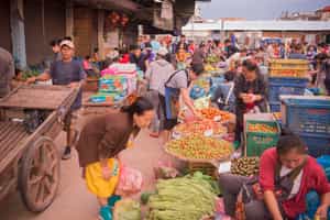Visit the Wat Si Muang temple in Vientiane 