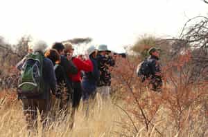 Spot smaller wildlife on an Otjiwarongo bush walk