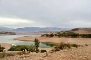 Cool off at Lake Lalla Takerkoust with a picnic