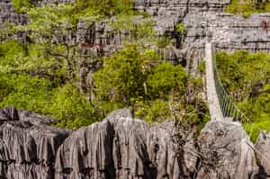 Hike through the sea of limestone tsingy tips