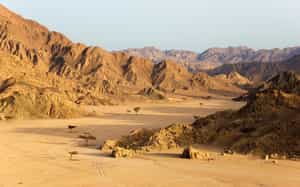 Drive on a 4x4 through the Sharm El Sheikh desert