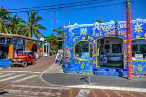 Wander through the streets of Puerto Ayora