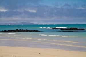 Walk on the pristine beach of Garrapatero