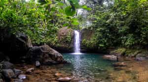Hike to a nearby waterfall in Cloud Forest