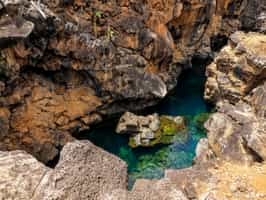 Swim between the rocks of Las Grietas, Santa Cruz