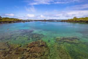 Swim in natural pools at Concha de Perla, Isabela
