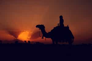 Ride a camel into the sunset in Merzouga