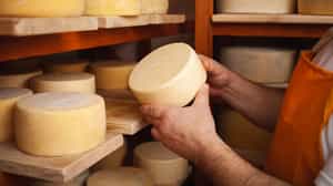 Taste fine local cheese at a dairy farm in Otavalo