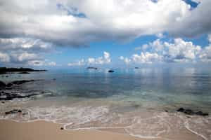 Dip at Bachas Beach and find turtles nesting there