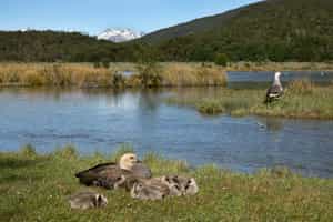 Spy aquatic birds from the Paseo de la Isla trail 