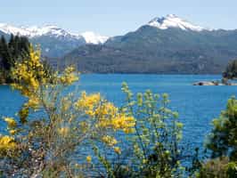 Explore the wonders of Isla Victoria, Bariloche