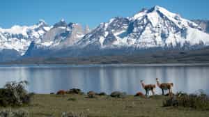 Hike to Lake Sarmiento in Torres Del Paine