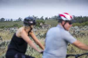 Mountain bike through the flora and fauna