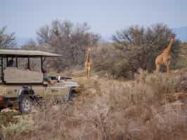 Track Sanbona's wildlife on a game drive