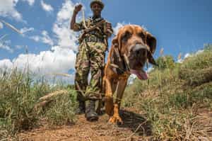 Meet Lewa’s tracker dogs and their handlers