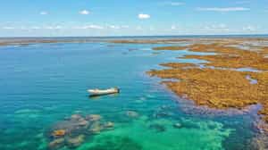 Snorkel the crystal clear waters of Lamu