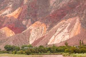 Jujuy
