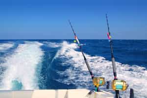 Cast a line out deep sea fishing from Watamu