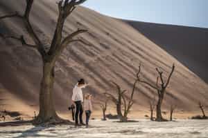 Take a trip to the Deadvlei and Big Daddy dune