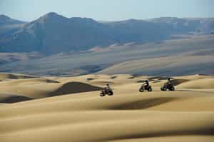 Ride a quad bike across the dunes of Kaokaland 